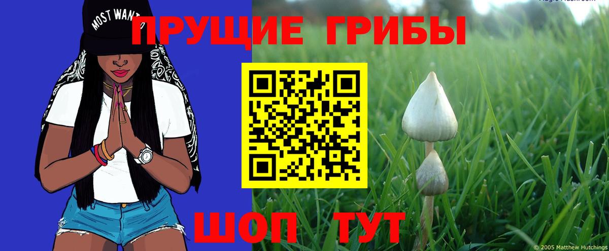 Псилоцибиновые грибы Magic Shrooms Щёлково